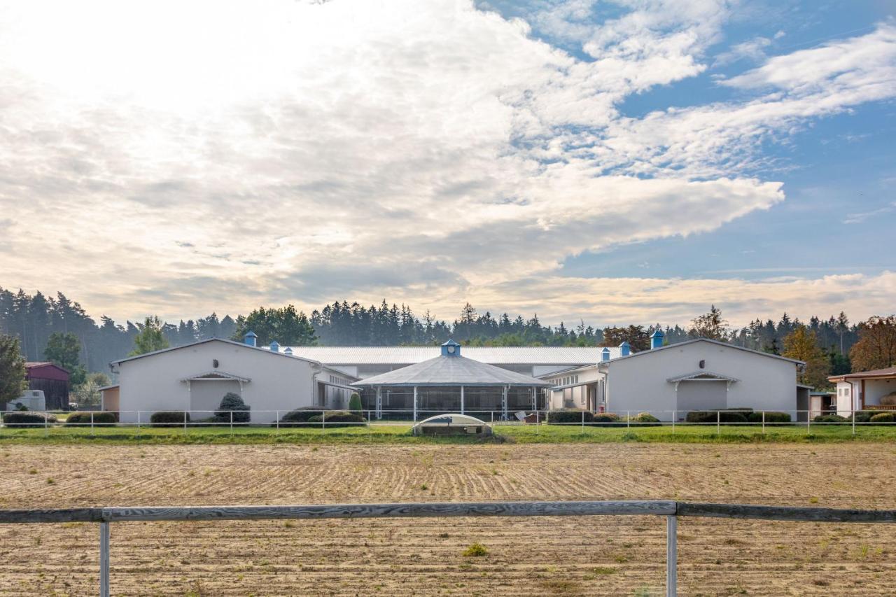 Farma Slunečný Dvůr Heřmanův Městec Exteriér fotografie