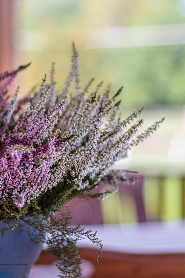 Farma Slunečný Dvůr Heřmanův Městec Exteriér fotografie