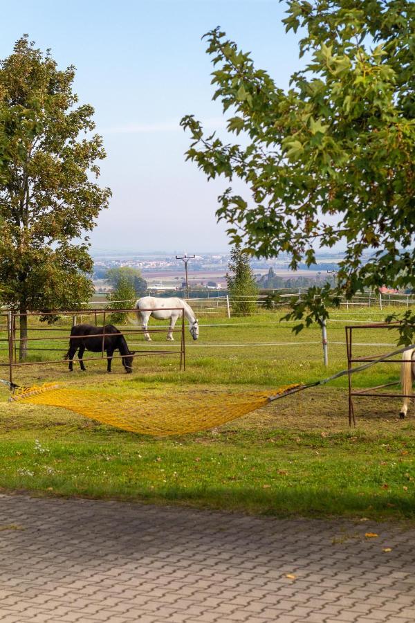 Farma Slunečný Dvůr Heřmanův Městec Exteriér fotografie
