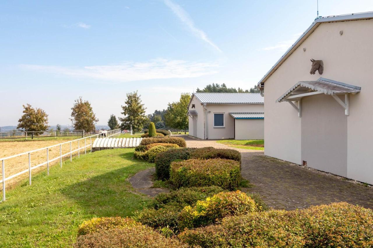 Farma Slunečný Dvůr Heřmanův Městec Exteriér fotografie
